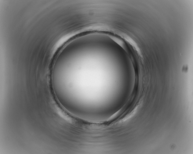 X0000091850981200709051143