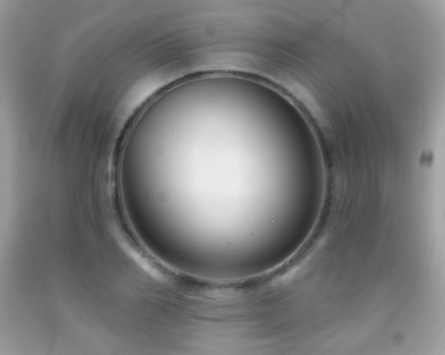 X0000091850982200709051143