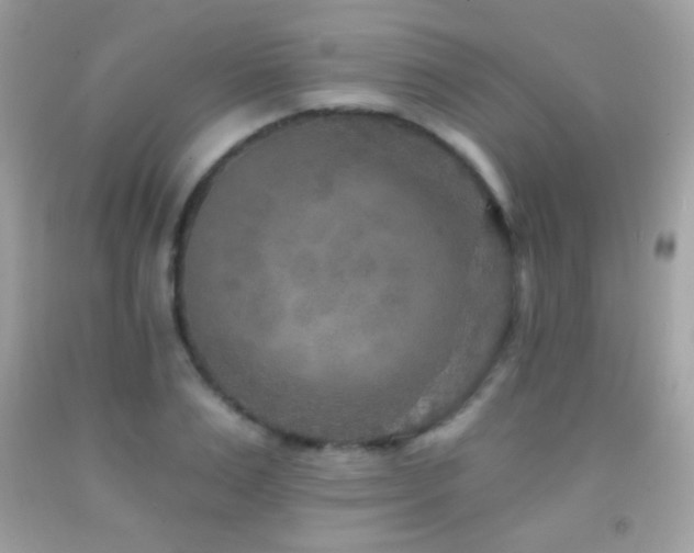 X0000091850983200709051143