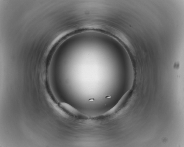 X0000091850984200709051143