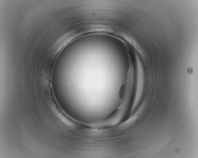 X0000091850985200709051143