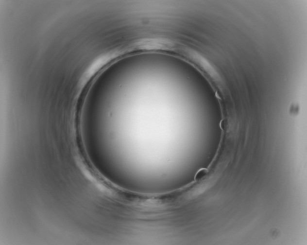 X0000091850986200709051143