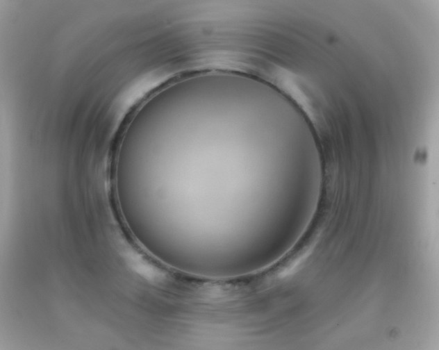 X0000091850987200709051143