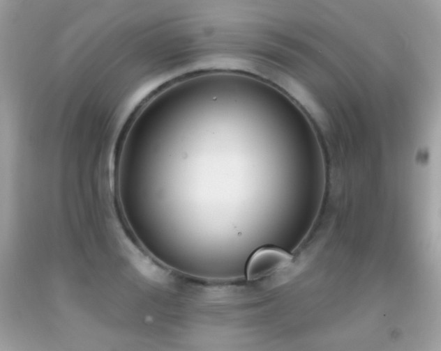 X0000091850988200709051143