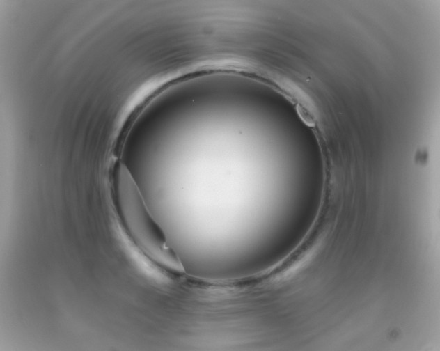 X0000091850989200709051143