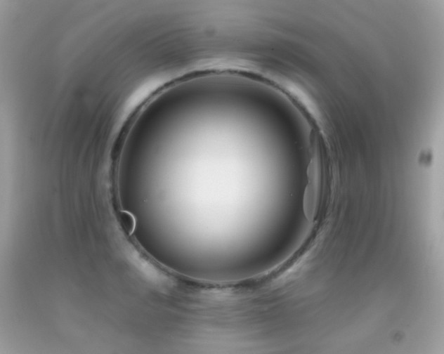 X0000091850990200709051143