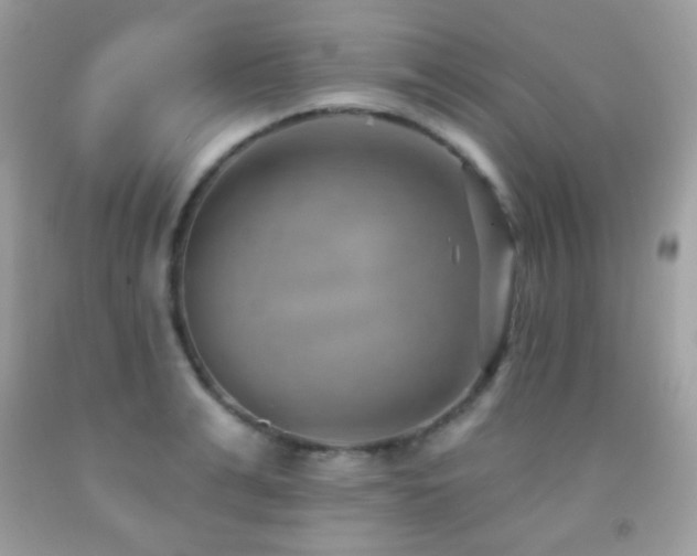 X0000091850991200709051143