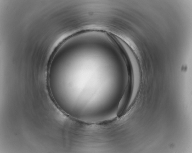 X0000091850992200709051143