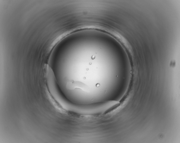 X0000091850993200709051143