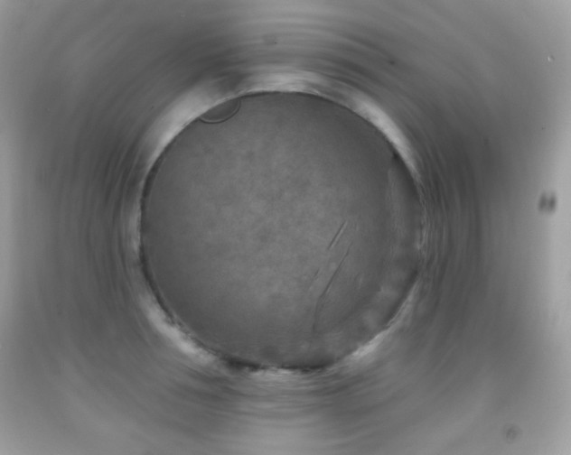 X0000091850994200709051143