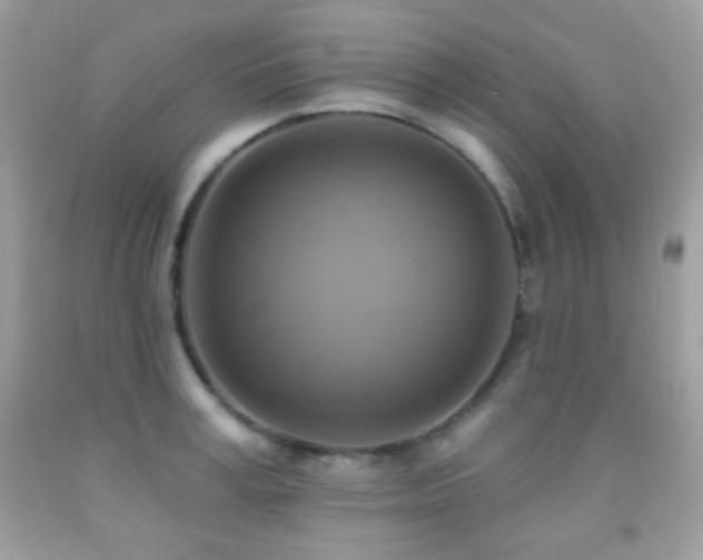 X0000091850995200709051143