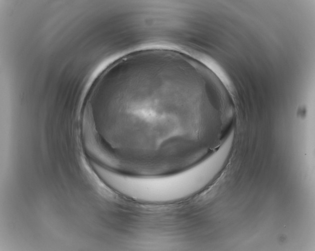 X0000091850996200709051143