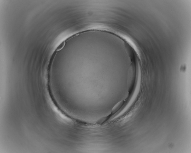 X0000091850999200709051143