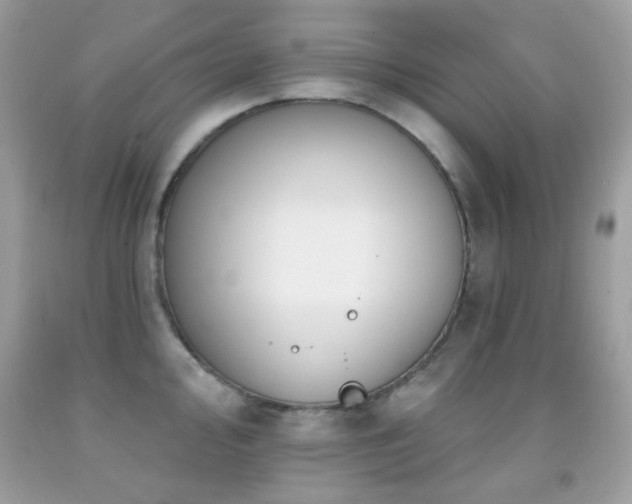 X0000091851000200709051143