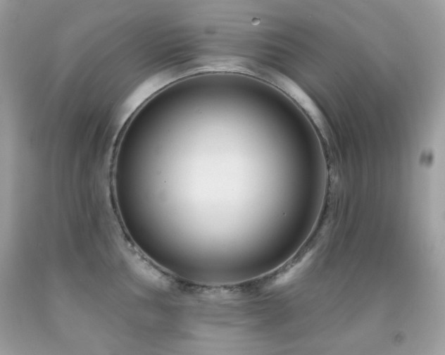 X0000091851002200709051143