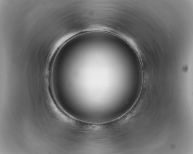 X0000091851003200709051143