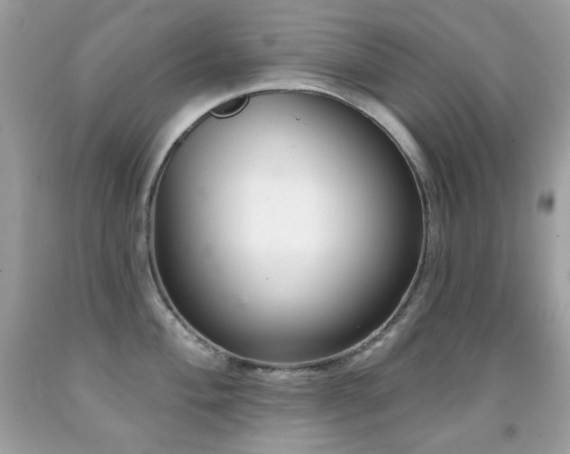 X0000091851004200709051143
