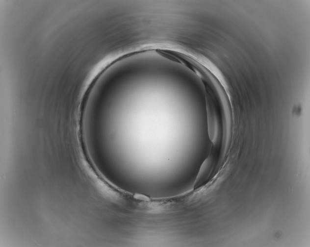 X0000091851005200709051143