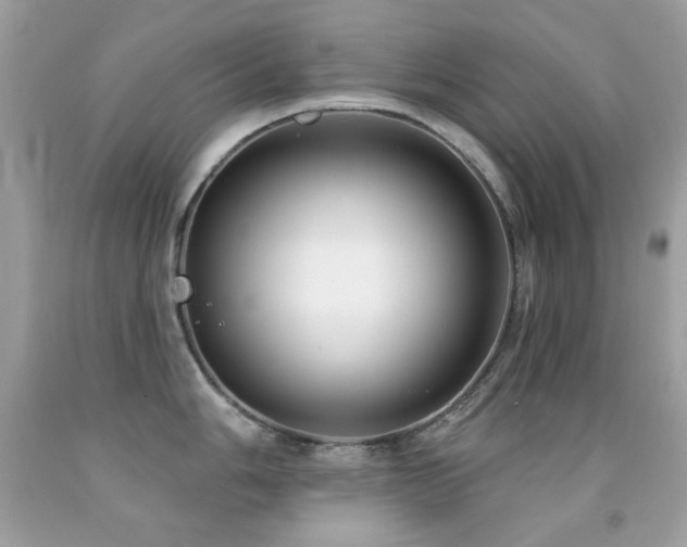 X0000091851006200709051142