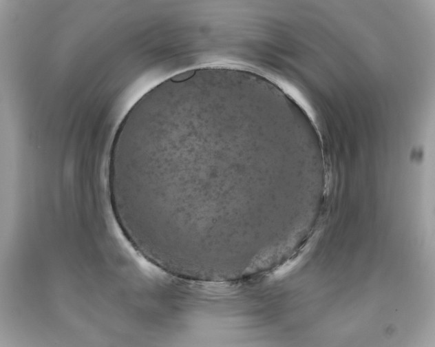X0000091851007200709051142