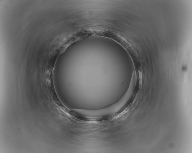 X0000091851010200709051142