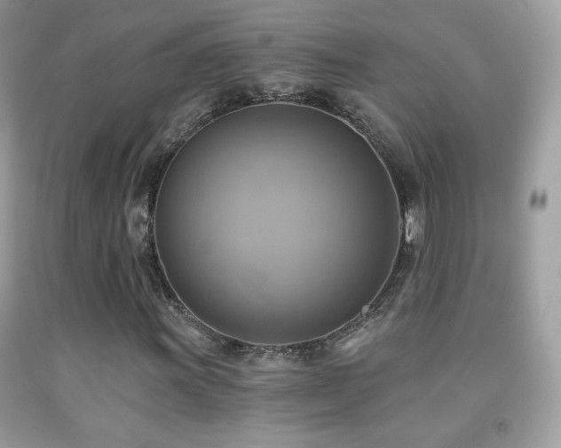 X0000091851011200709051142