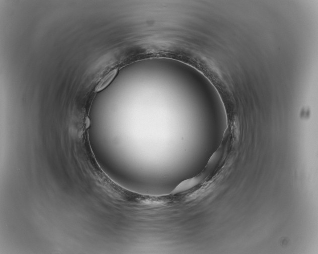 X0000091851012200709051142
