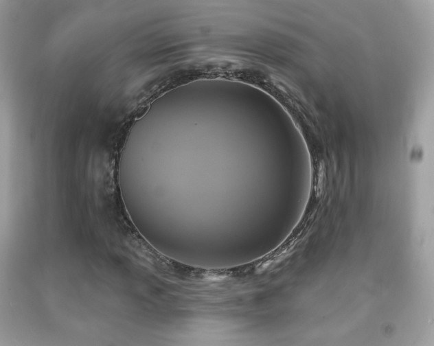 X0000091851013200709051142