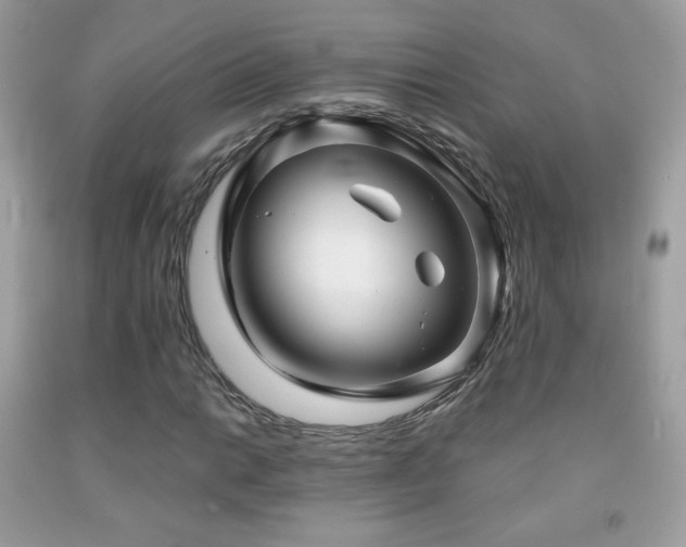 X0000091851014200709051142