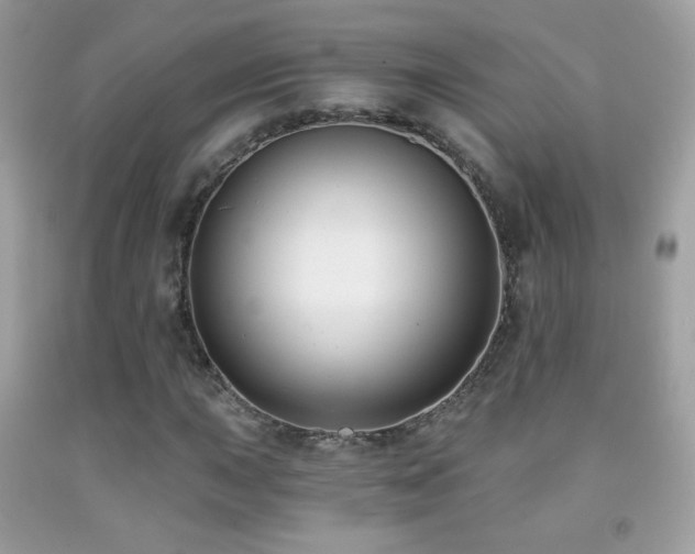 X0000091851015200709051142