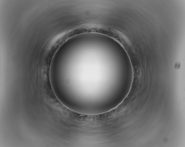 X0000091851016200709051142
