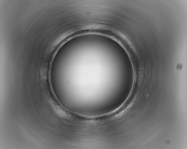 X0000091851017200709051142