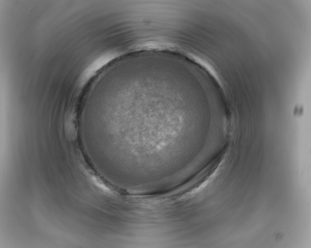 X0000091851018200709051142