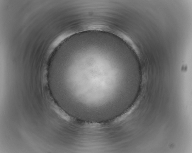 X0000091851019200709051142