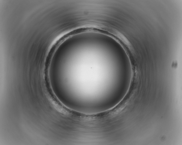 X0000091851020200709051142