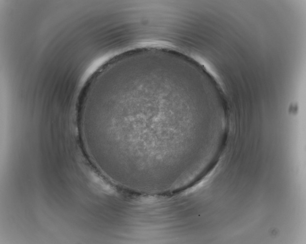 X0000091851022200709051142