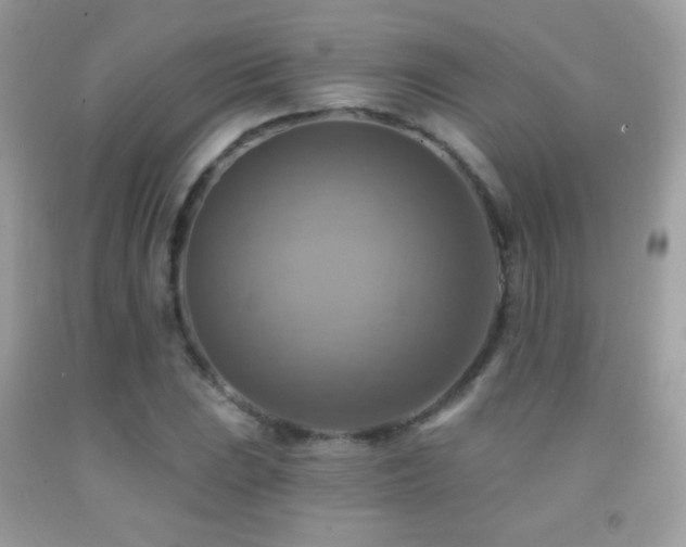 X0000091851023200709051142