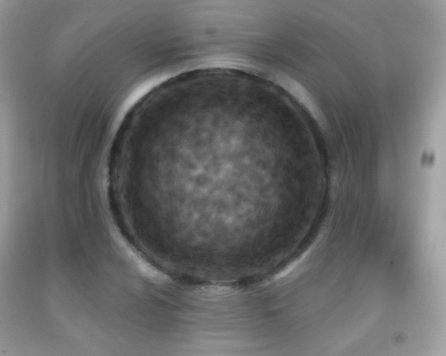 X0000091851024200709051142