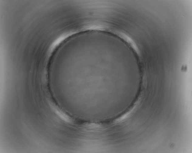 X0000091851027200709051142