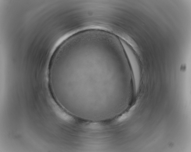 X0000091851028200709051142