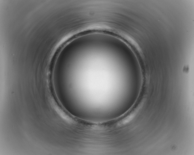 X0000091851029200709051142