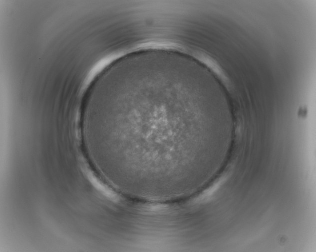 X0000091851030200709051142