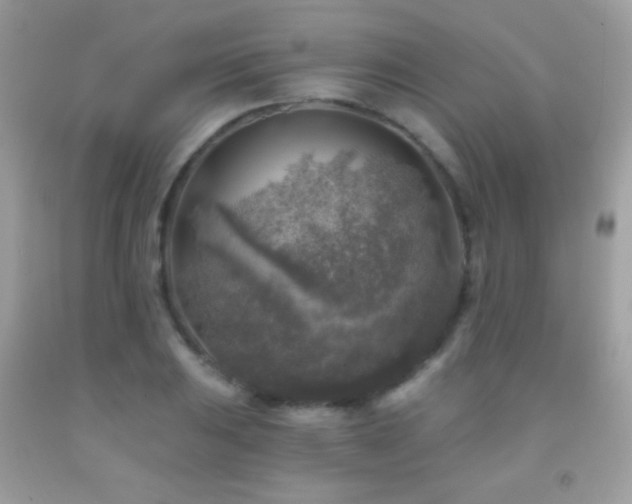 X0000091851031200709051142