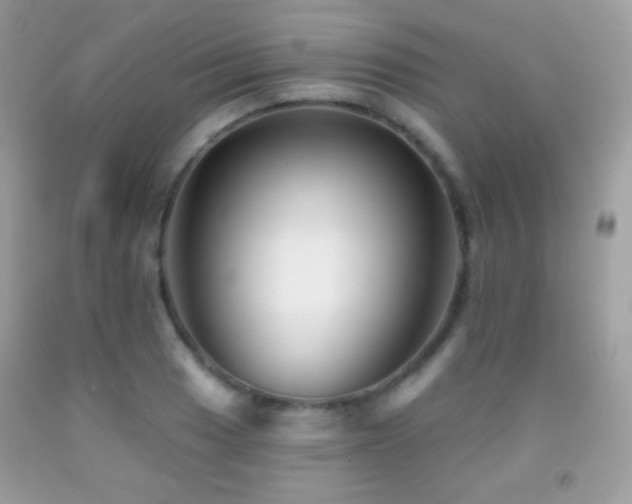 X0000091851033200709051142