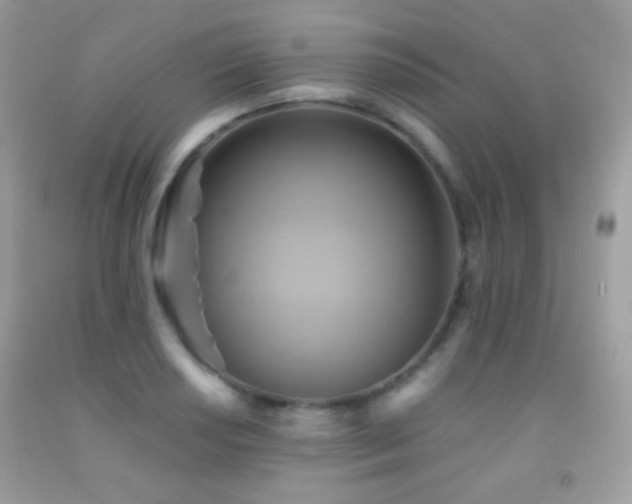 X0000091851034200709051142