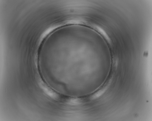 X0000091851035200709051142