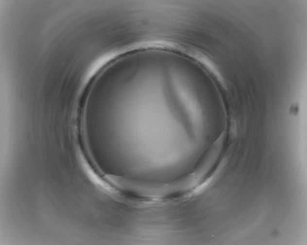 X0000091851038200709051142