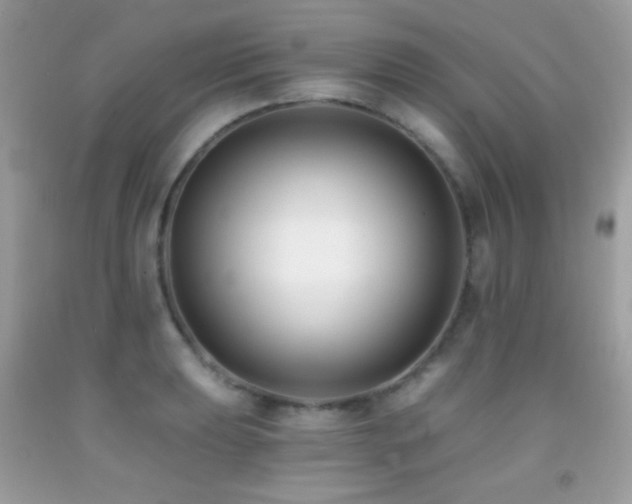 X0000091851039200709051142