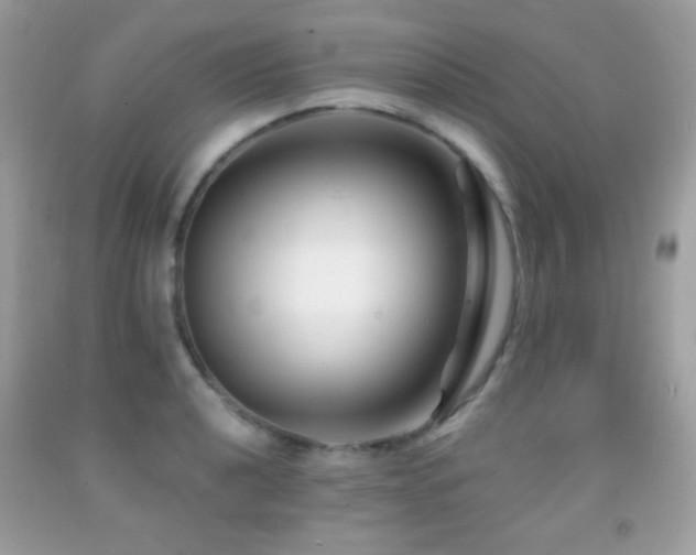 X0000091851040200709051142