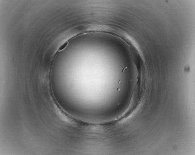 X0000091851041200709051142